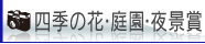 四季の花・庭園・夜景賞