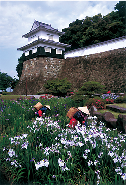 「花がら摘み」山口八郎(長崎県諫早市)/長崎写真コンクール