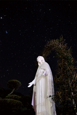 「星の降る夜に」中山正寿（長崎県新上五島町）