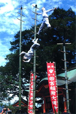 「若宮の森に舞う」矢竹泰子（長崎県）