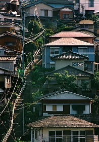 「朝の散歩道」 井島加米男