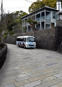 「一足速い桜（河津桜）」竹野大志