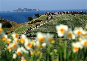 「「彼方に・・・」　野上 シヅコ