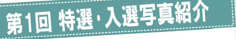 第1回とるけん長崎入選結果